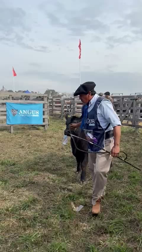 Miniatura del video: RP 487 — Campeón Ternera Agroactiva 2026