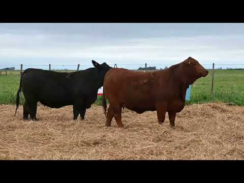 Lote 12: La Conquista Brg 483 Cambiazo