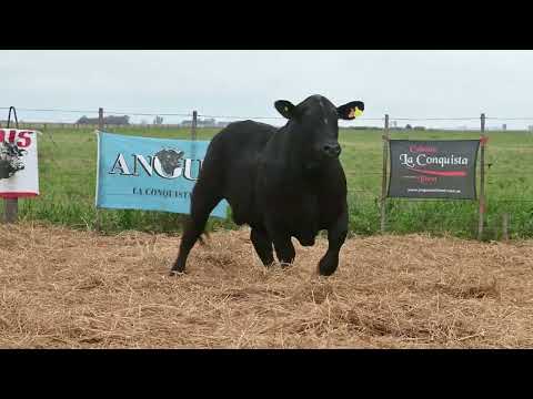 Lote 52: La Conquista Brg 530 Terco 187