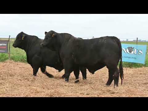 Lote 51: La Conquista Brg 514 Julio 7 T/E