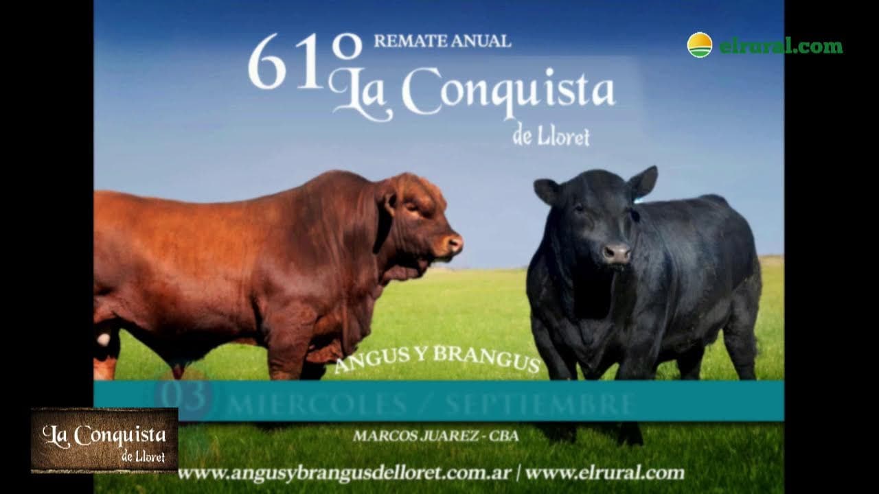 Miniatura del video: Remate anual 61° — Cabaña La Conquista de Lloret