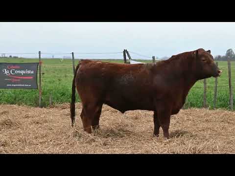 Lote 44 B: La Conquista 835 Pc