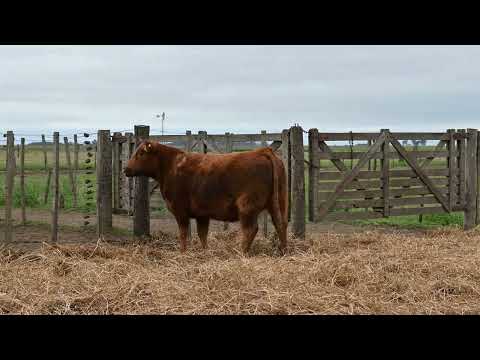 Lote 4: La Conquista 461 Valeria Quebrantador