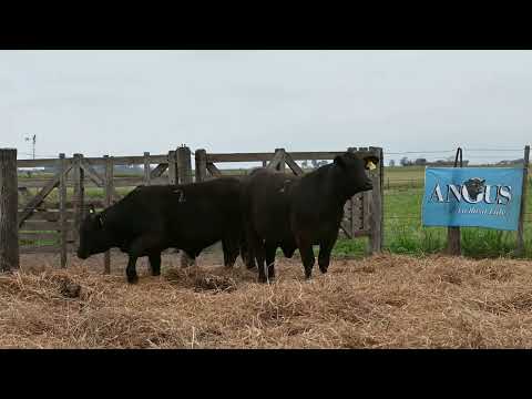 Lote 16: La Conquista Brg 491 Itapucu 153