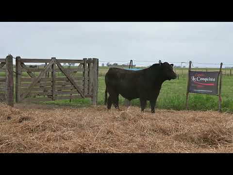 Lote 37 B: La Conquista 830 - Pc