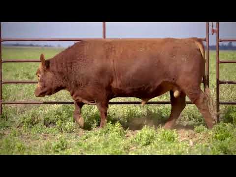 Lote 27: La Union C783 Esencial
