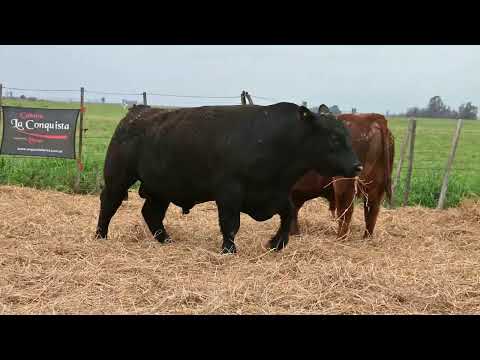 Lote 41 A: La Conquista 841 - Pc