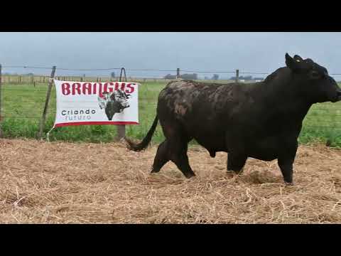 Lote 42 A: La Conquista 860 - Pc