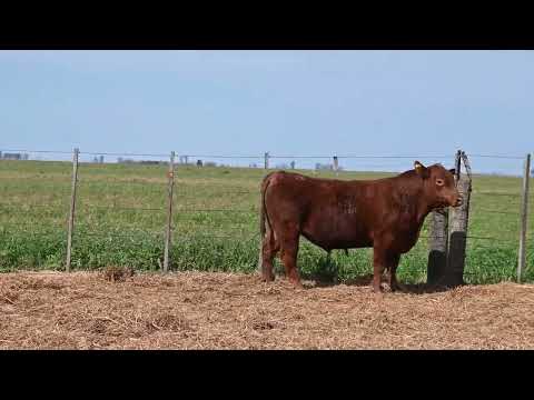 Lote 45 C: La Conquista 831 - Pc