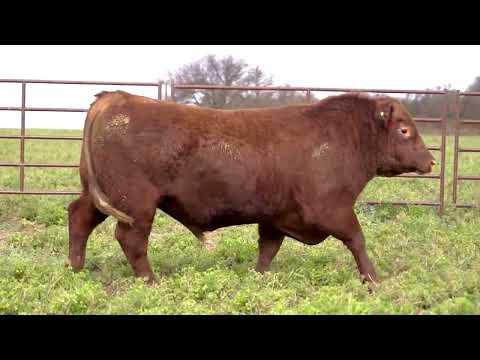 Lote 29: La Union Roja 6 - Pc