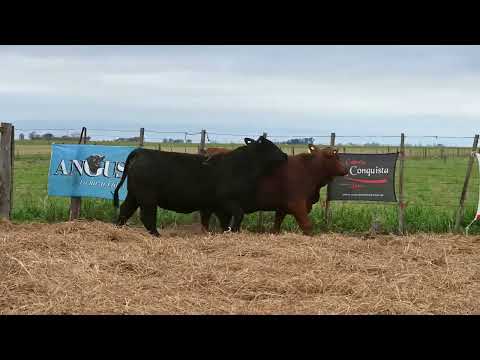Lote 13: La Conquista Brg 465 Mayu
