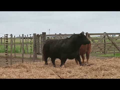 Lote 38 A: La Conquista 832 Pc